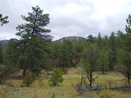 Timberland Property for sale in Fremont County, Colorado