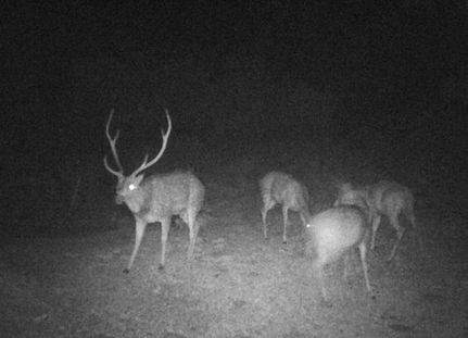Hunting Property for sale in Val Verde County, Texas