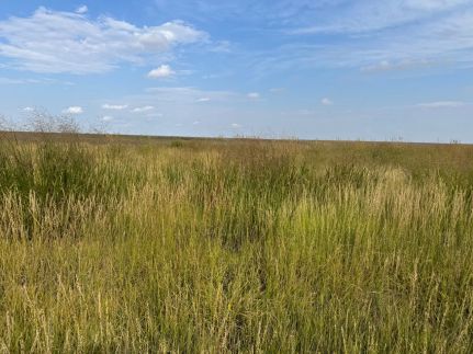 Farm and Ranch for sale in Kiowa County, Colorado