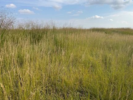 Farm and Ranch for sale in Kiowa County, Colorado