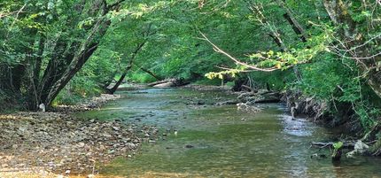 Recreational Property for sale in Wayne County, Tennessee