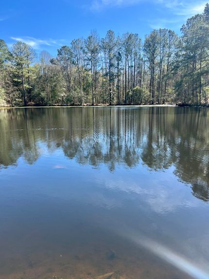 Recreational Property in Butler County, Alabama