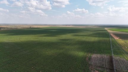 Land for sale in Gaines County, Texas