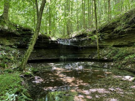 Farm and Ranch in Hardin County, Tennessee