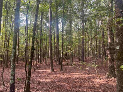 Land for sale in Laurens County, South Carolina