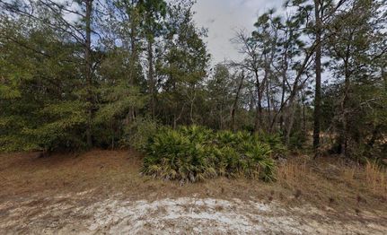 Timberland Property for sale in Putnam County, Florida