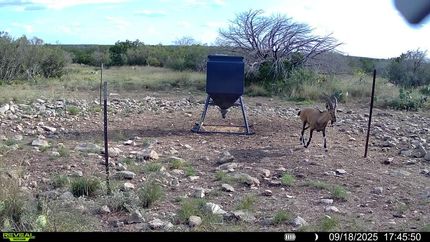 Farm and Ranch for sale in Val Verde County, Texas