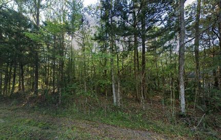Timberland Property for sale in Marion County, Florida