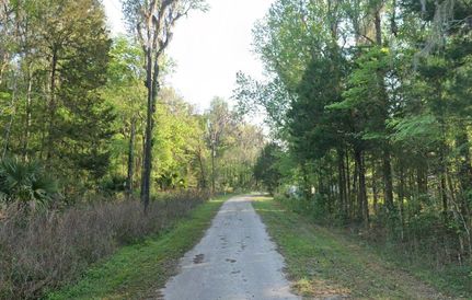 Undeveloped Land for sale in Marion County, Florida