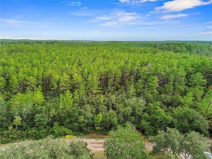 Undeveloped Land for sale in Lake County, Florida