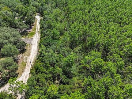 Timberland Property for sale in Lake County, Florida
