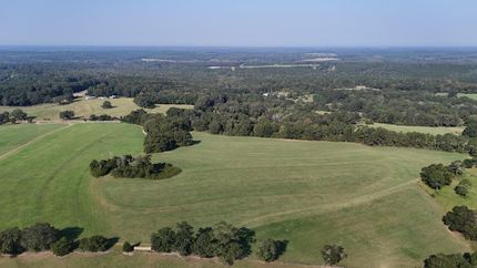 Undeveloped Land for sale in Dale County, Alabama