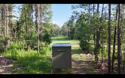Timberland Property for sale in Franklin County, Mississippi