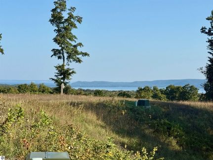 Undeveloped Land for sale in Leelanau County, Michigan