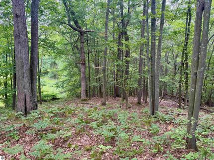 Undeveloped Land for sale in Leelanau County, Michigan