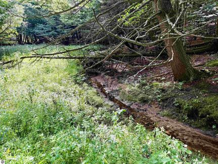 Undeveloped Land for sale in Leelanau County, Michigan