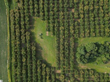 Undeveloped Land for sale in Grand Traverse County, Michigan