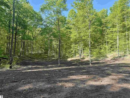 Undeveloped Land for sale in Leelanau County, Michigan