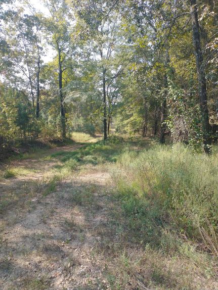 Land for sale in Saint Clair County, Alabama