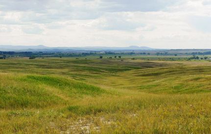 Undeveloped Land for sale in Butte County, South Dakota
