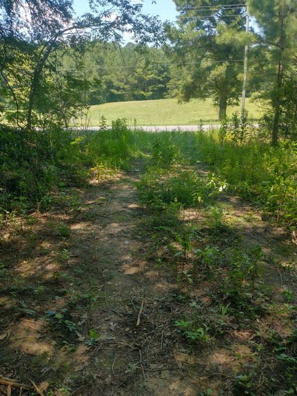 Recreational Property for sale in Coosa County, Alabama