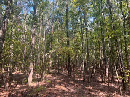 Recreational Property for sale in Laurens County, South Carolina