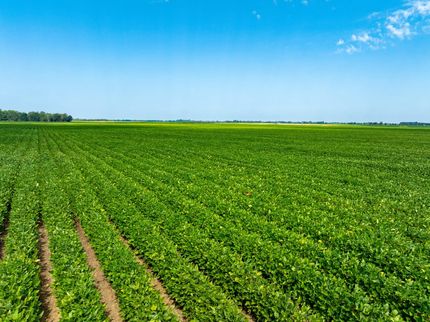 Land for sale in Lawrence County, Arkansas