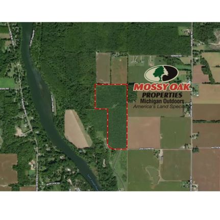 Commercial Property for sale in Berrien County, Michigan