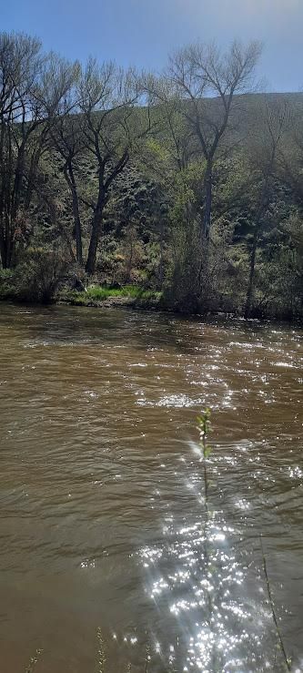 Timberland Property for sale in Carson City County, Nevada