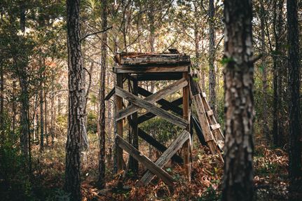 Recreational Property for sale in Ben Hill County, Georgia