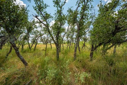 Undeveloped Land for sale in Menard County, Texas