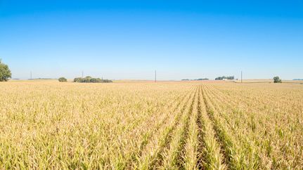Undeveloped Land for sale in Clay County, Iowa