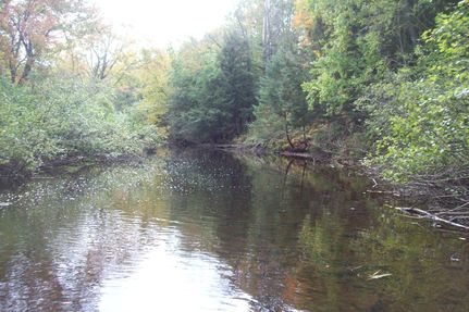 Timberland Property for sale in Taylor County, Wisconsin