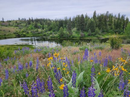 Farm and Ranch for sale in Okanogan County, Washington