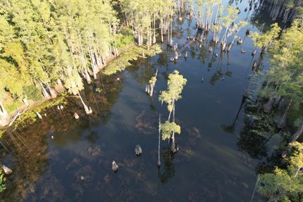 Commercial Property for sale in Jackson County, Florida