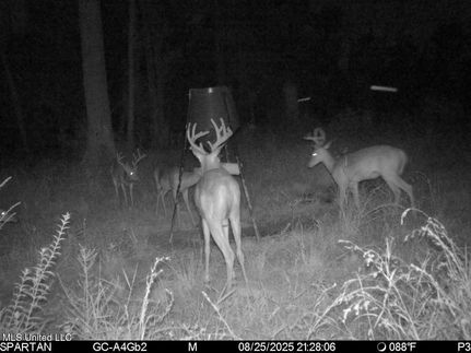 Farm and Ranch for sale in Tangipahoa Parish, Louisiana