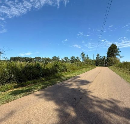 Land for sale in Scott County, Mississippi