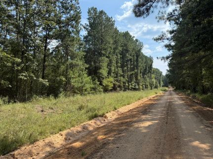 Hunting Property for sale in Smith County, Mississippi
