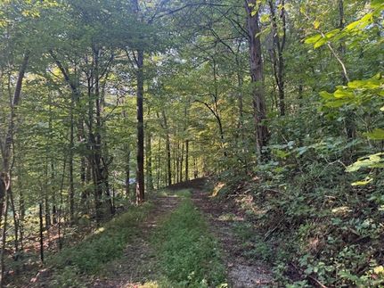 Land for sale in Bedford County, Tennessee