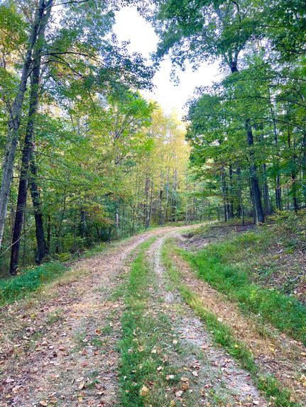 Timberland Property for sale in Pike County, Ohio