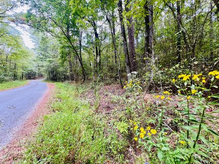 Timberland Property for sale in Prentiss County, Mississippi