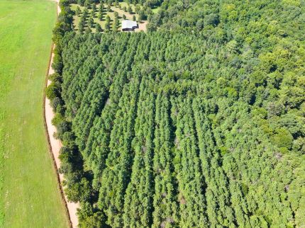 Farm and Ranch for sale in Sevier County, Arkansas