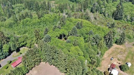 Undeveloped Land for sale in Grays Harbor County, Washington