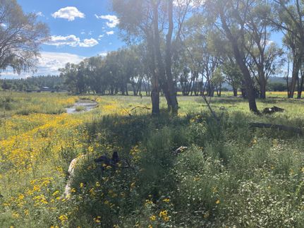 Waterfront Property for sale in Catron County, New Mexico
