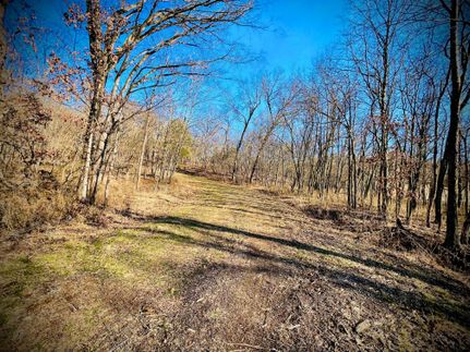 Undeveloped Land in Benton County, Missouri