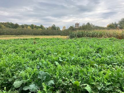 Undeveloped Land for sale in Taylor County, Wisconsin