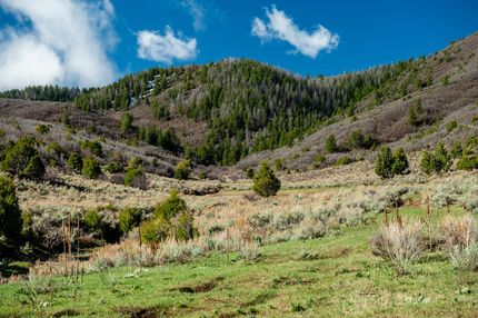 Undeveloped Land in Garfield County, Colorado