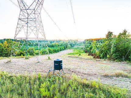 Land for sale in Monroe County, Mississippi