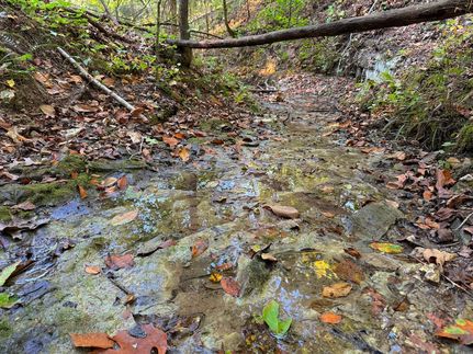 Undeveloped Land for sale in Searcy County, Arkansas