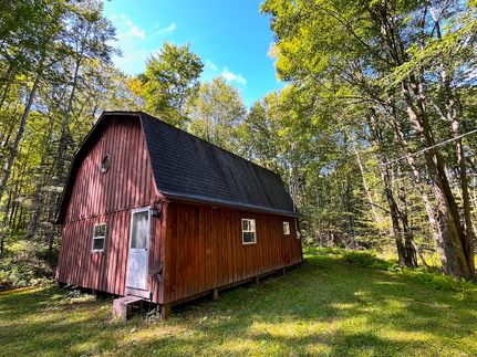 Undeveloped Land for sale in Allegany County, New York
